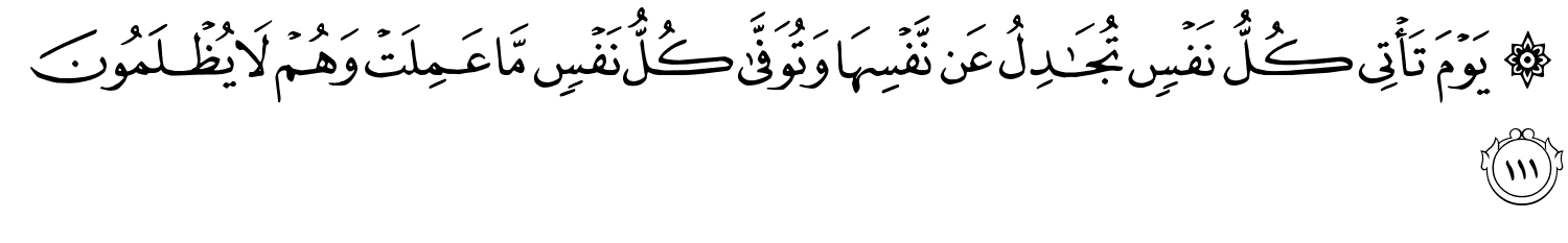 يَوْمَ تَأْتِي كُلُّ نَفْسٍ تُجَـٰدِلُ عَن نَّفْسِهَا وَتُوَفَّى كُلُّ نَفْسٍ مَّا عَمِلَتْ وَهُمْ لاَ يُظْلَمُونَ